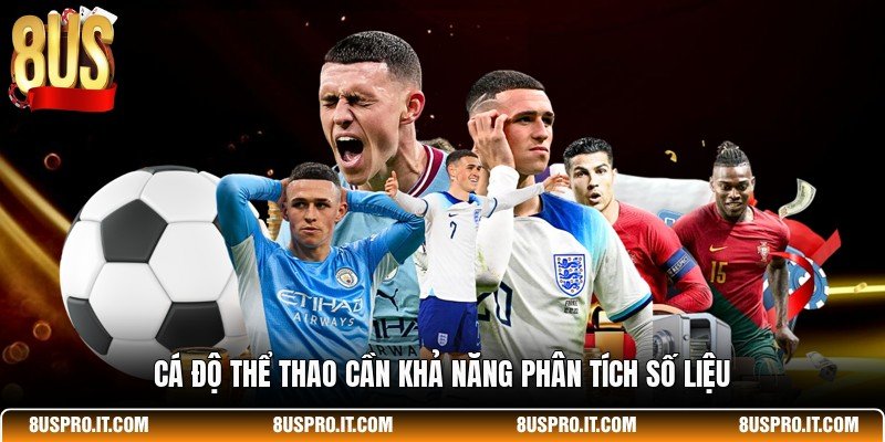 Cá độ thể thao cần khả năng phân tích số liệu