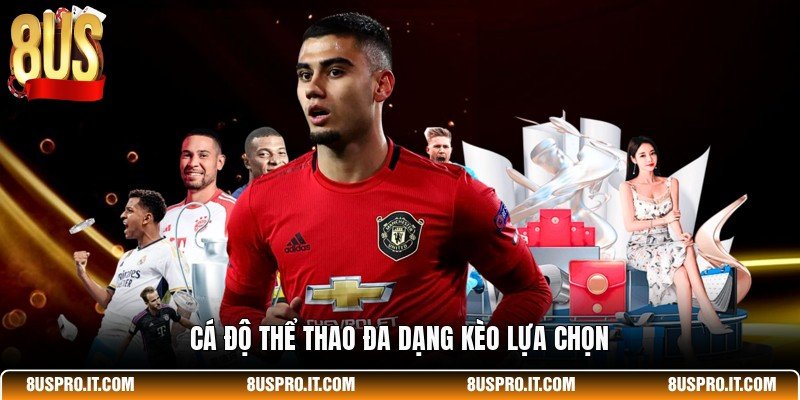 Cá độ thể thao đa dạng kèo lựa chọn
