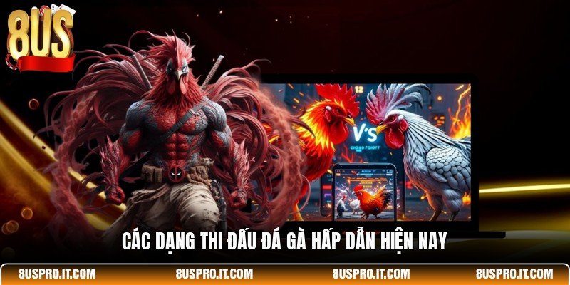 Các dạng thi đấu đá gà hấp dẫn hiện nay