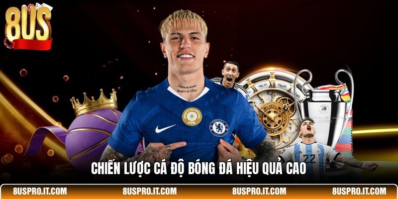 Chiến lược cá độ bóng đá hiệu quả cao