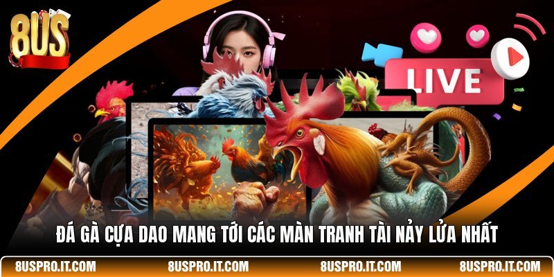 Đá Gà Cựa Dao Mang Tới Các Màn Tranh Tài Nảy Lửa Nhất