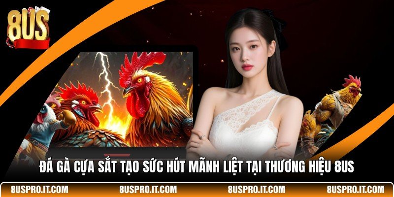 Đá Gà Cựa Sắt Tạo Sức Hút Mãnh Liệt Tại Thương Hiệu 8US