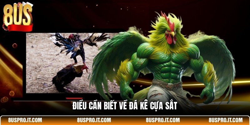 Điều cần biết về đá kê cựa sắt