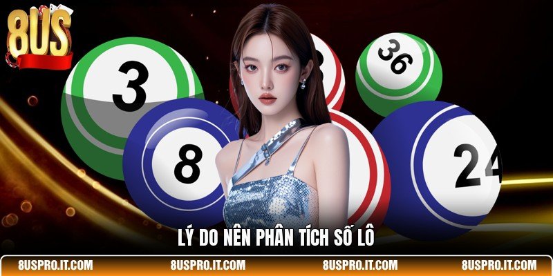 Lý do nên phân tích số lô