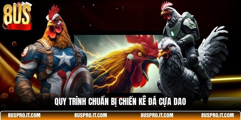 Quy trình chuẩn bị chiến kê đá cựa dao