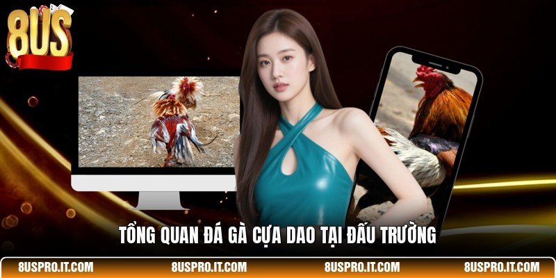 Tổng quan đá gà cựa dao tại đấu trường