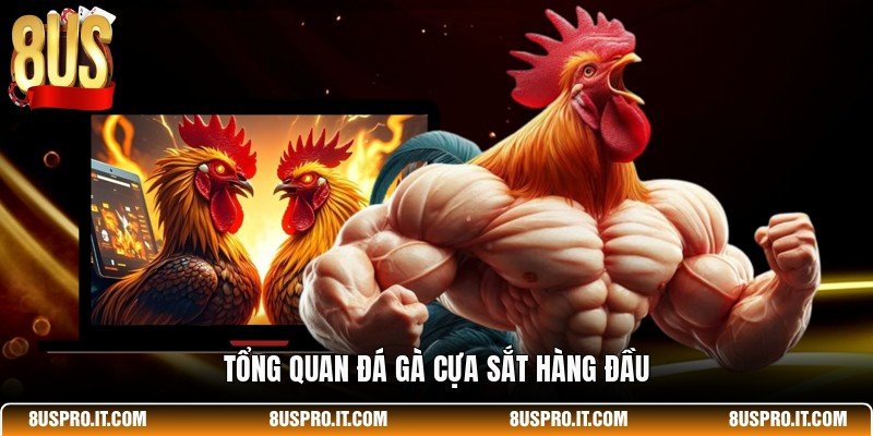 Tổng quan đá gà cựa sắt hàng đầu