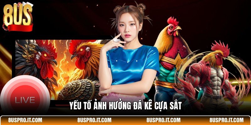 Yếu tố ảnh hưởng đá kê cựa sắt